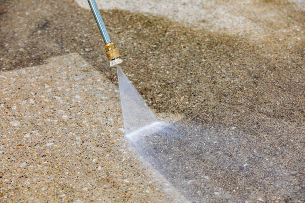 Best Gutter Cleaning  in Louisa, VA