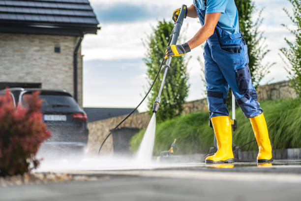 Best House Exterior Washing  in Louisa, VA